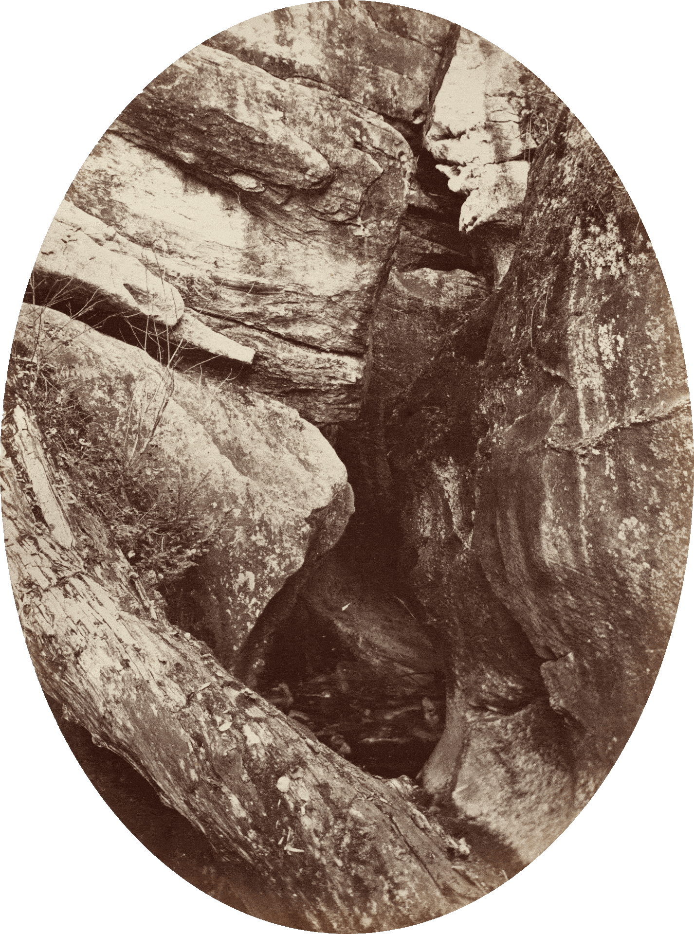 George K. Warren
Waterfall near Williams College, ca. 1870
Albumen print
National Gallery of Art, Washington, D.C.
Washington